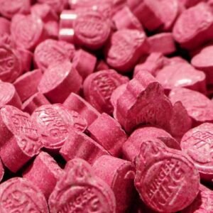 100X Dutch