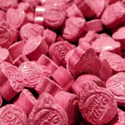 100X Dutch