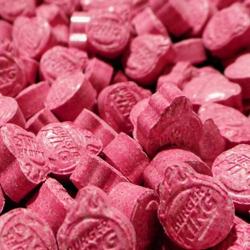 100X Dutch 100X Dutch
