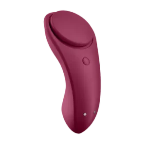 Satisfyer Sexy Secret - Panty Vibrator