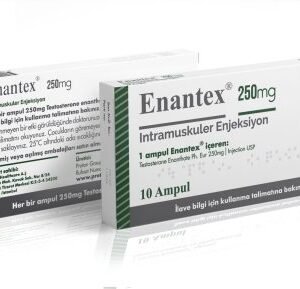 Proton Pharma (Test E) Enantex 10 x 250mg – 1ml ampules