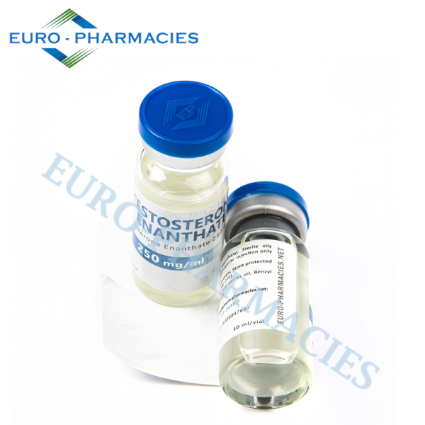 TESTOSTERONE-ENANTHATE-600x600 Euro Pharmacies Testosterone Enanthate 250mg/ml 10ml vial